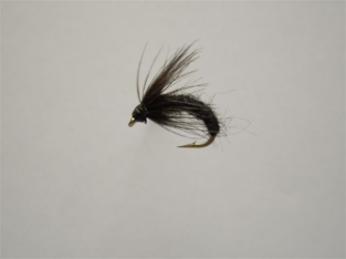 Size 16 Pupa Black